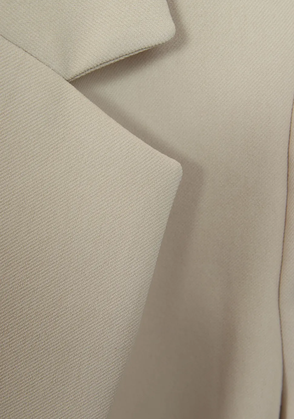 ANNA VAN TOOR BLAZER
