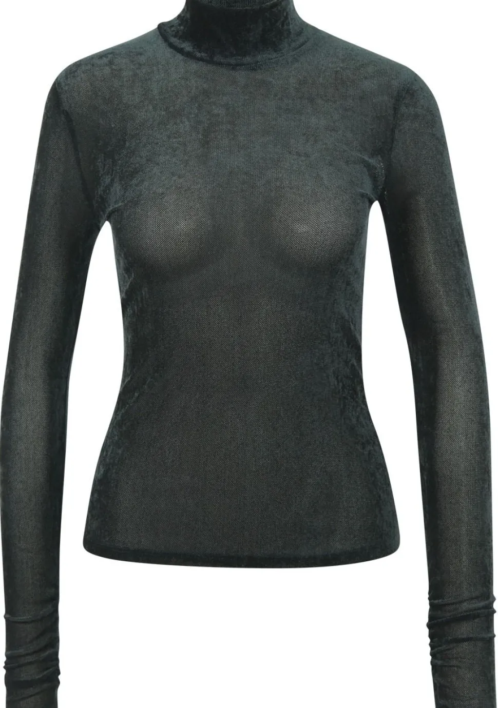 DANTE 6 SHIRT