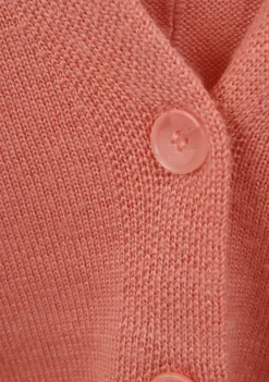 FRANK WALDER VEST