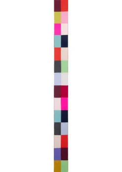 OILILY SJAAL