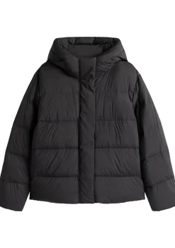 TOMMY HILFIGER JACK