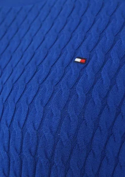 TOMMY HILFIGER TRUI