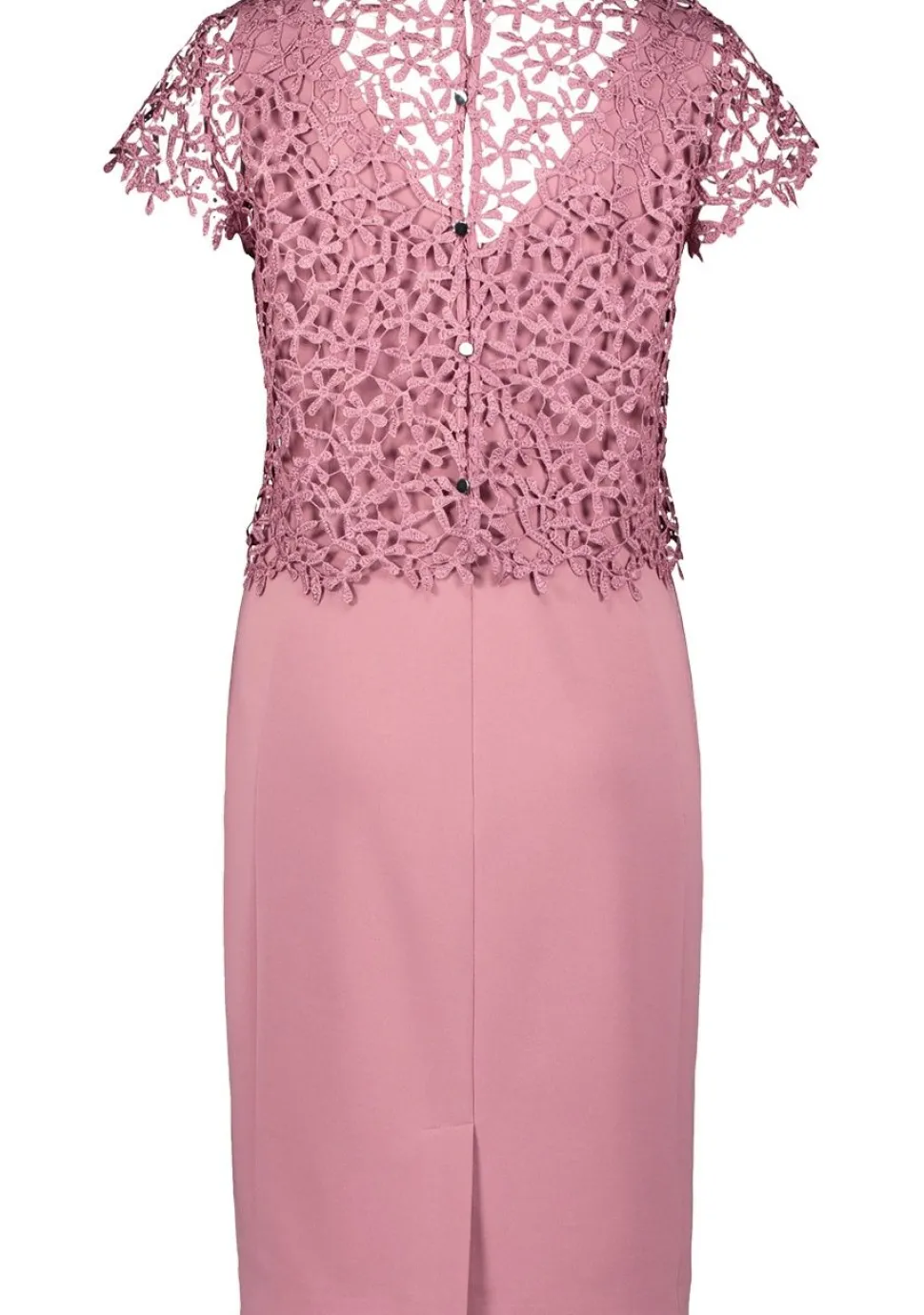 VERA MONT JURK